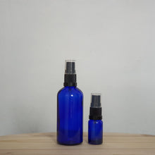 Load image into Gallery viewer, Blue Glass Bottles with Mist Spray
